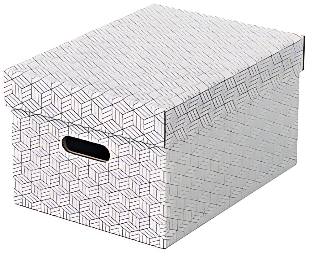 Esselte Boîte de rangement Home L, set de 3, blanc
