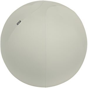 LEITZ Ballon d'assise Ergo Active, diamètre: 750 mm, gris