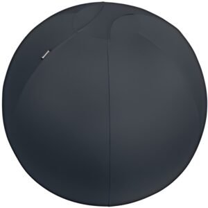 LEITZ Ballon d'assise Ergo Active, diamètre: 750 mm, gris