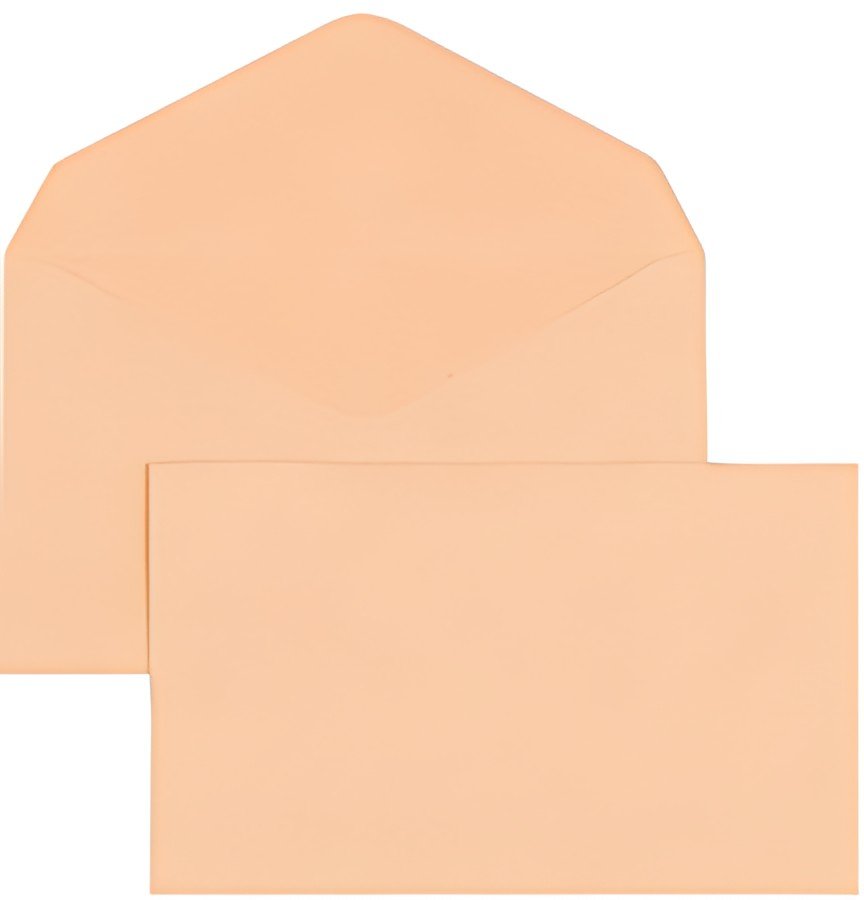 GPV Enveloppes élection, 90 x 140 mm, non gommée, bulle