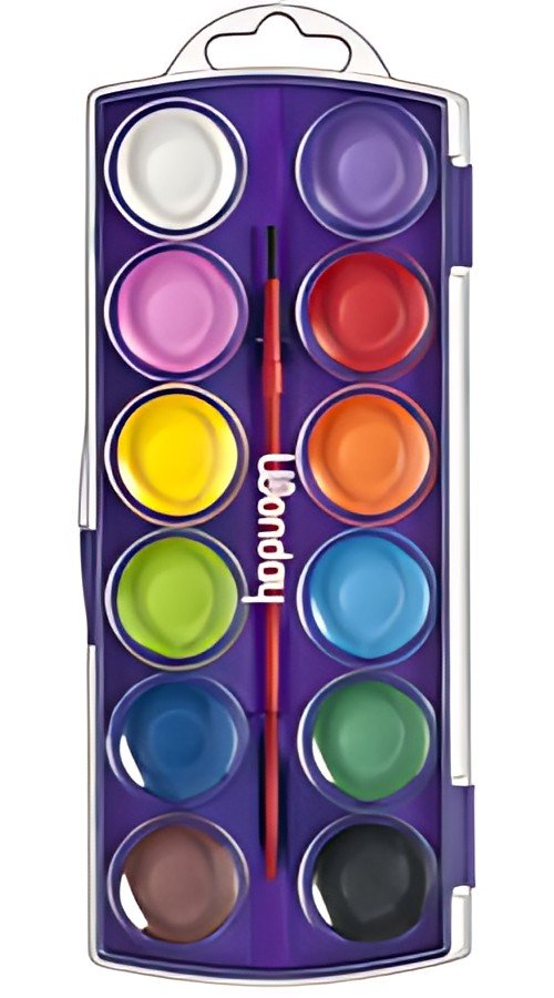 Wonday Boîte de pastilles de peinture, 12 couleurs