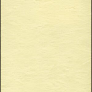 sigel Papier structuré, A4, 90 g/m2, Perga champagne