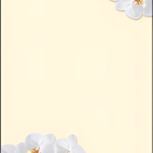 sigel Papier à motif, A4, 90 g/m2, motif "White Orchid"