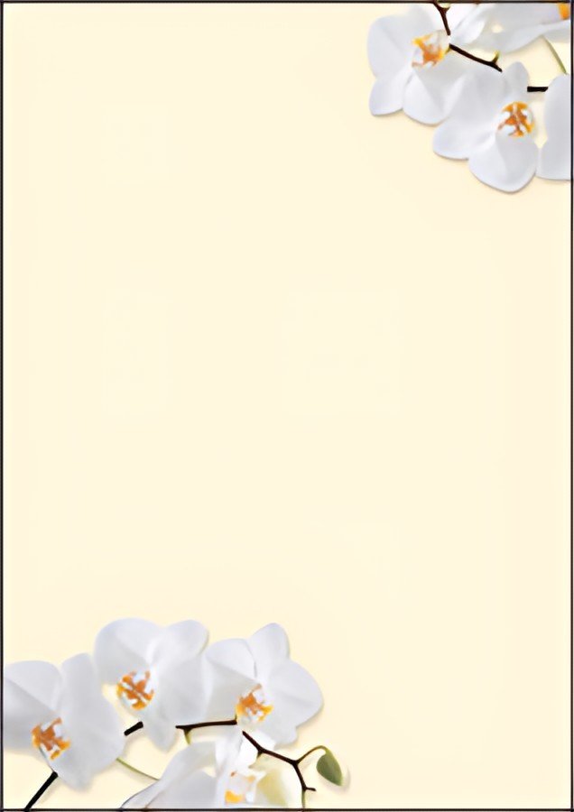 sigel Papier à motif, A4, 90 g/m2, motif "White Orchid"