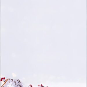 sigel Papier à motif de Noël "Snow Star", A4, 90 g/m2