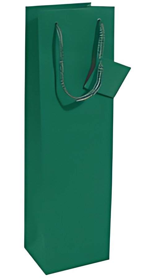 sigel Sac à bouteille, vernis mat, pour une bouteille, vert
