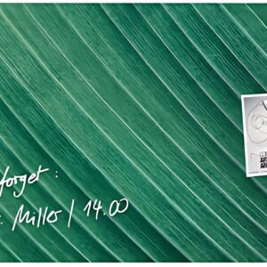 sigel Tableau magnétique en verre Artverum Design Palm Leaf