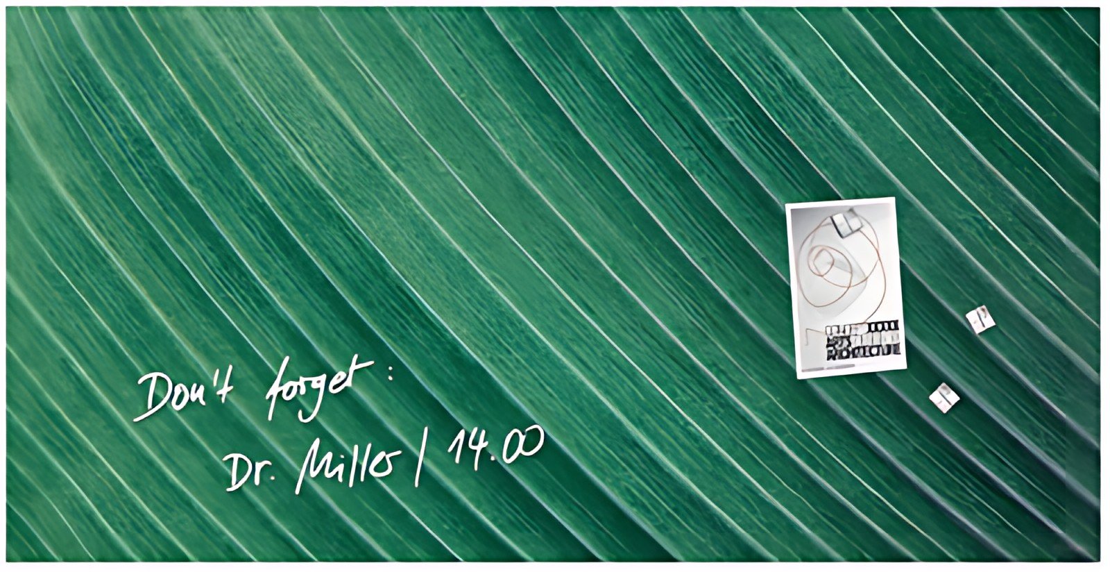 sigel Tableau magnétique en verre Artverum Design Palm Leaf