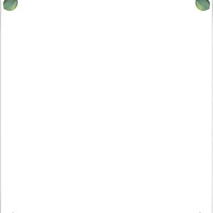 sigel Papier motif "Eucalyptus", A4, 90 mm g/m2, 2 colonnes