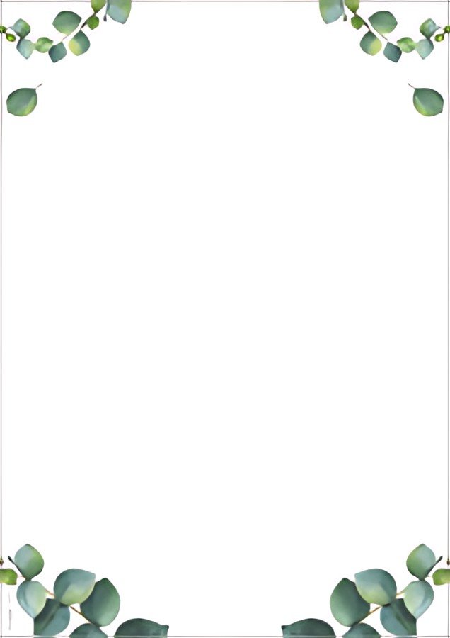 sigel Papier motif "Eucalyptus", A4, 90 mm g/m2, 2 colonnes