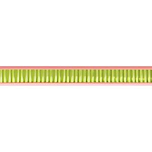 Maped Crayon d'apprentissage Kidy learn, avec gomme, HB