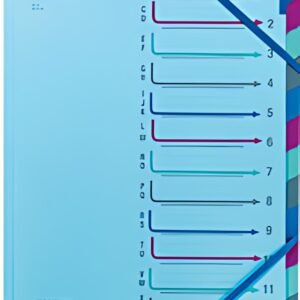 extendos Trieur à élastique série 43, 12 compartiments