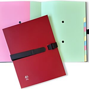 Arianex by extendos Trieur SANGLEX, 12 compartiments, rouge