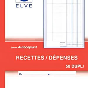 ELVE Manifold "Recettes / Dépenses", A4, dupli, 50 feuillets