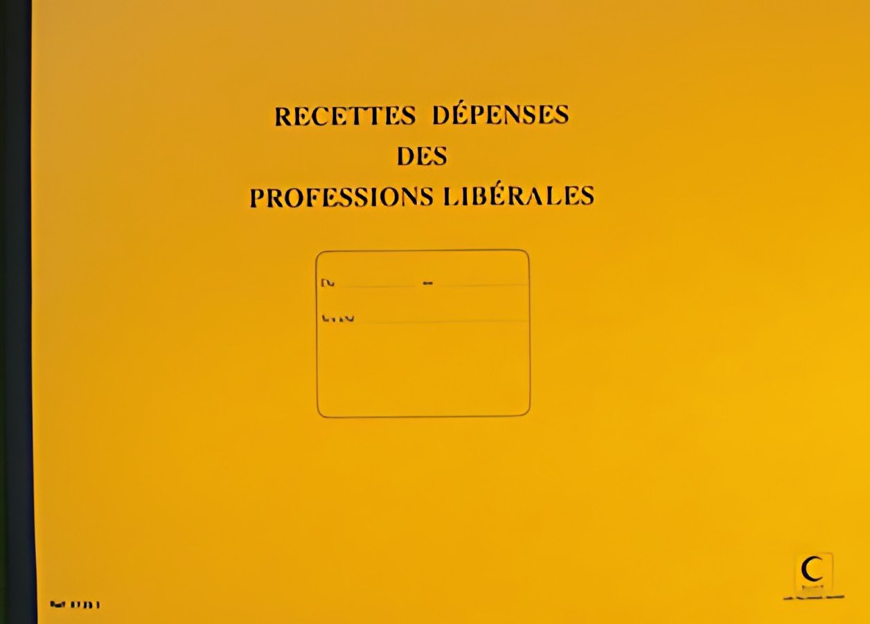 ELVE Piqûre "Recettes/Dépenses" Professions libérales