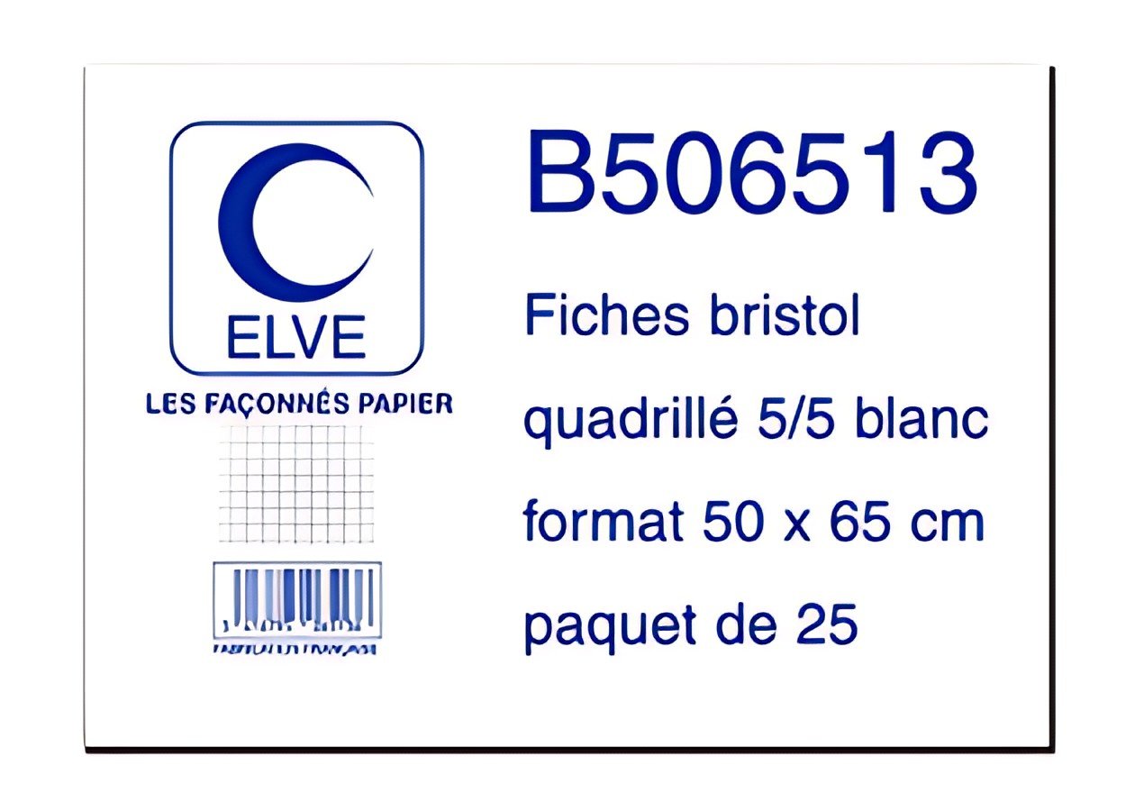 ELVE Fiches bristol quadrillées 5/5, 500 x 650 mm, 25 fiches
