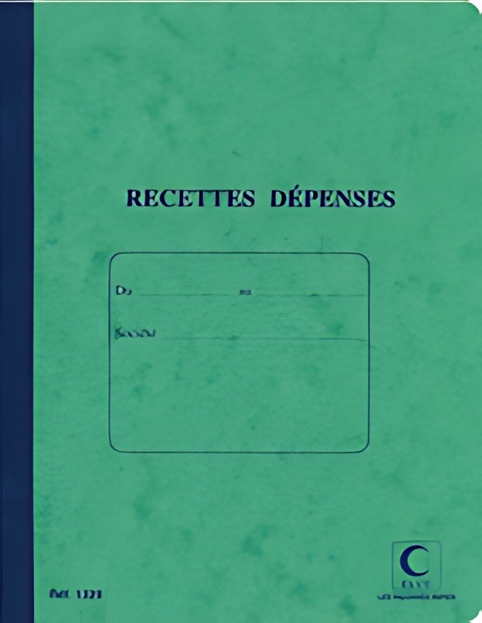 ELVE Cahier piqué "Recettes - Dépenses", 220 x 170 mm
