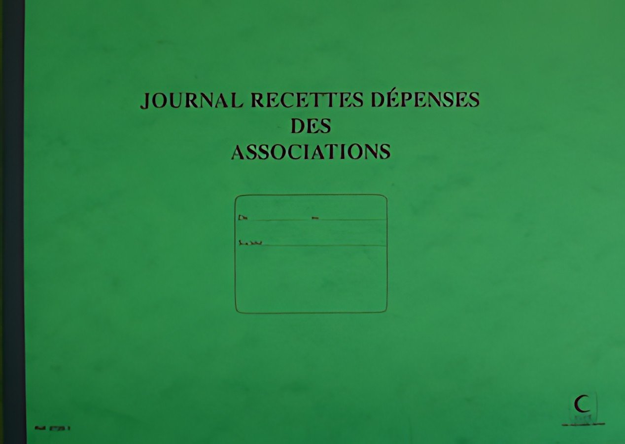 ELVE Piqûre "Journal Recettes Dépenses des Associations"
