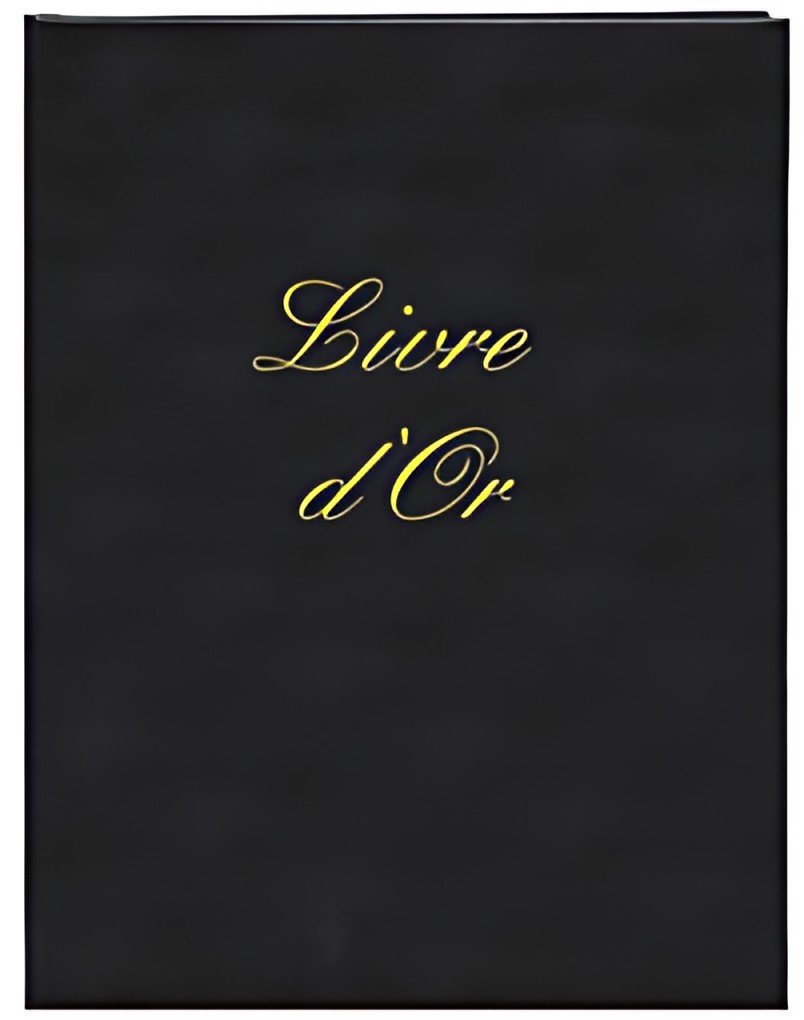 ELVE Livre d'or "Livre d'Or", 297 x 210 mm, noir