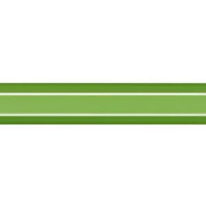 CARAN D'ACHE Stylo plume 849 FLUO LINE, vert