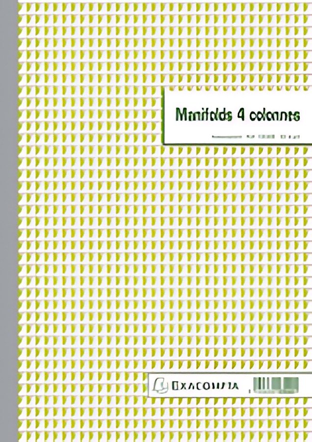 EXACOMPTA Manifold 4 colonnes, 297 x 210 mm, dupli