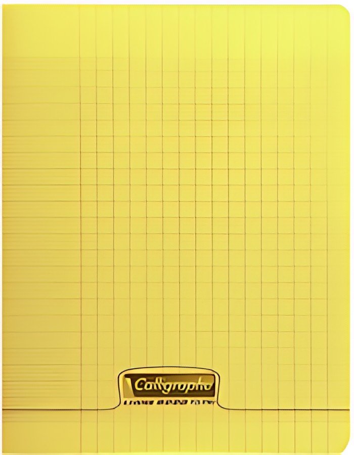Calligraphe Cahier 8000 POLYPRO, 240 x 320 mm, assorti