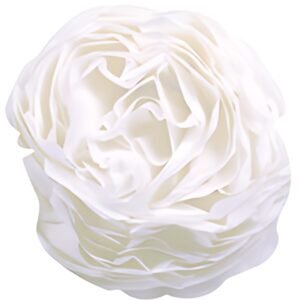 Clairefontaine Papier de soie, (l)500 x (H)750 mm, blanc