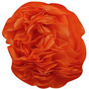 Clairefontaine Papier de soie, (l)500 x (H)750 mm, orange
