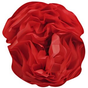 Clairefontaine Papier de soie, (l)500 x (H)750 mm, rouge