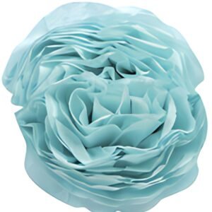 Clairefontaine Papier de soie, (l)500 x (H)750 mm, bleu ciel