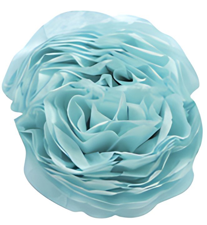 Clairefontaine Papier de soie, (l)500 x (H)750 mm, bleu ciel