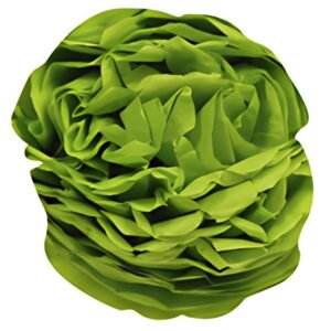 Clairefontaine Papier de soie, (l)500 x (H)750 mm,vert pomme