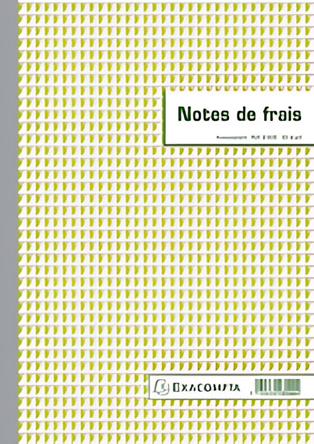 EXACOMPTA Manifold "Notes de Frais", 297 x 210 mm vertical