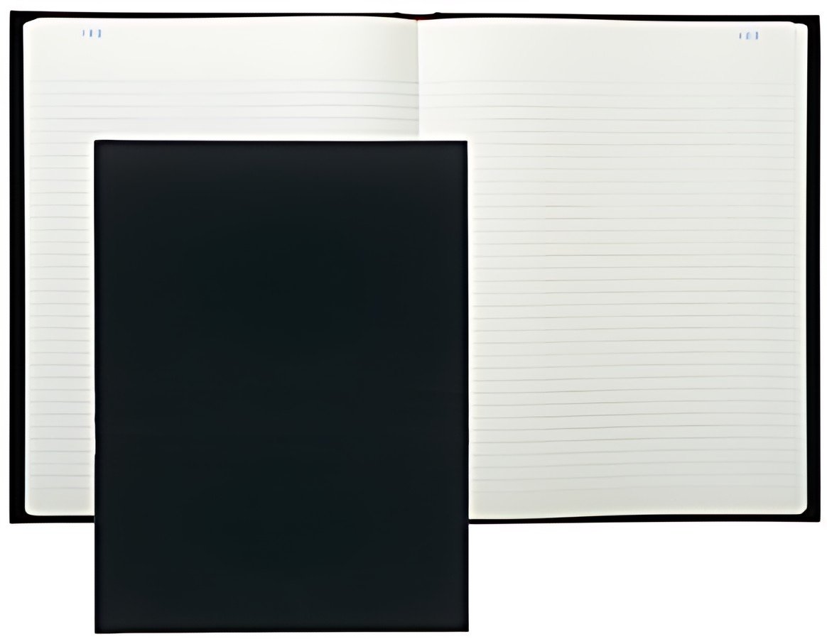EXACOMPTA Registre Ligné, 320 x 250 mm vertical