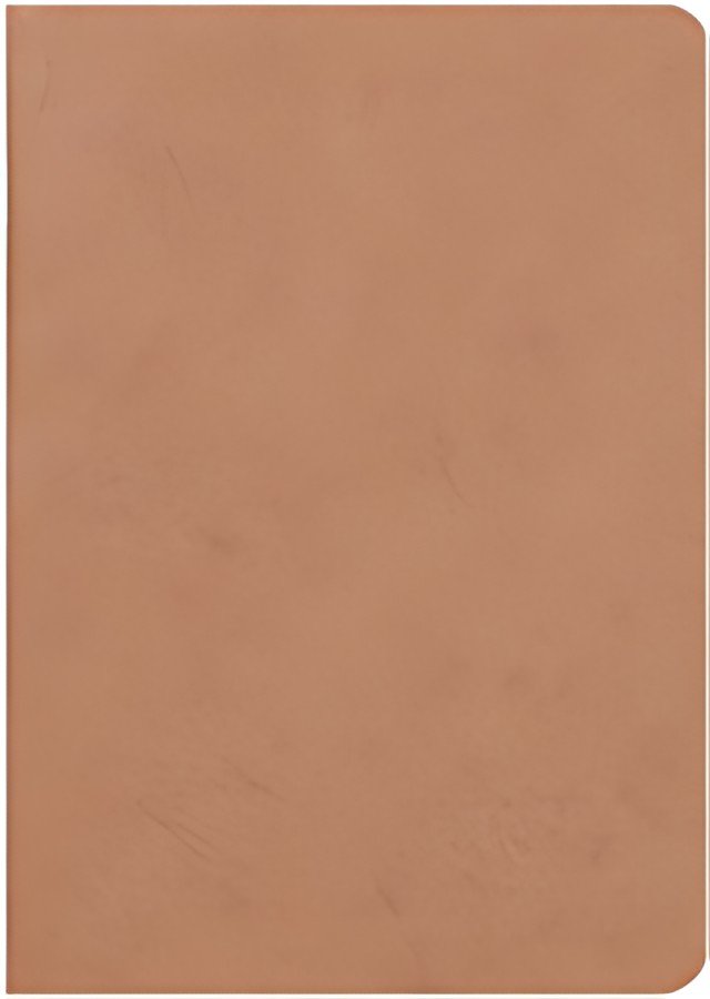 Clairefontaine Carnet AGE BAG, A5, ligné, tabac