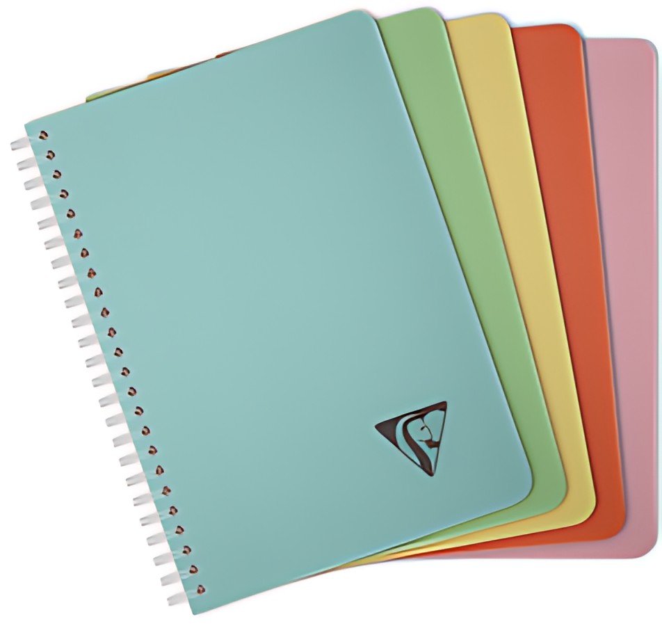 Clairefontaine Carnet reliure intégrale LINICOLOR, A5
