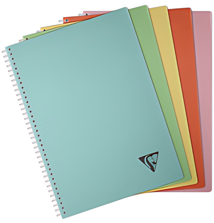 Clairefontaine Cahier reliure intégrale LINICOLOR, A4