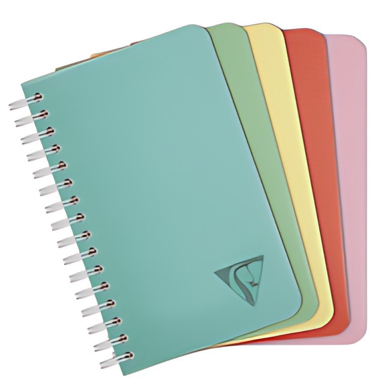 Clairefontaine Carnet reliure intégrale LINICOLOR, 90x140mm