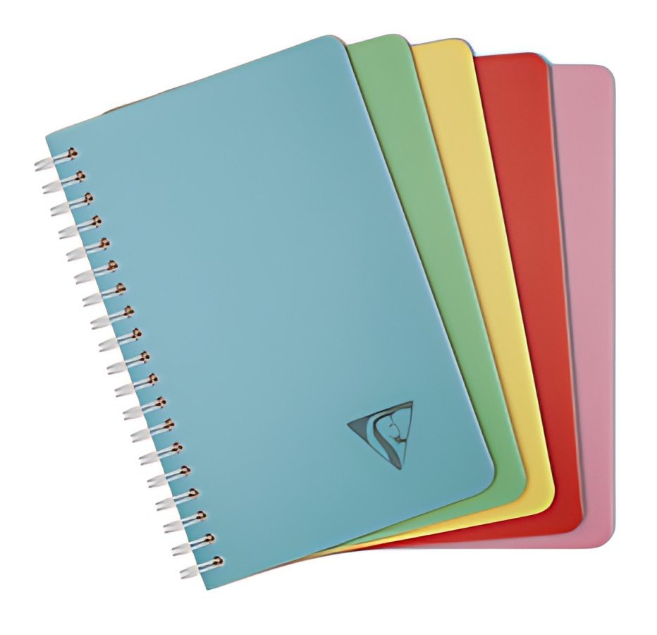Clairefontaine Carnet reliure intégrale LINICOLOR, 110x170mm