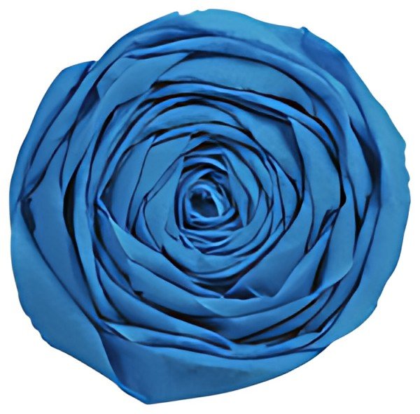 Clairefontaine Papier crépon, bleu france