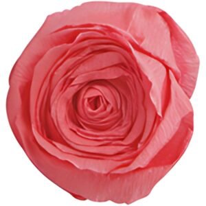 Clairefontaine Papier crépon, rose saumon