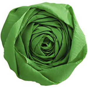 Clairefontaine Papier crépon, vert empire