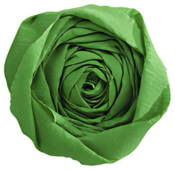 Clairefontaine Papier crépon, vert empire