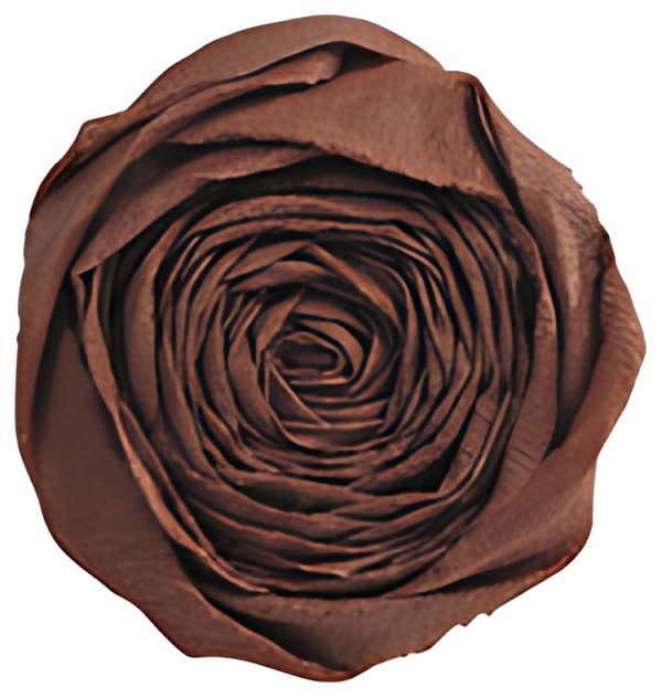 Clairefontaine Papier crépon, chocolat