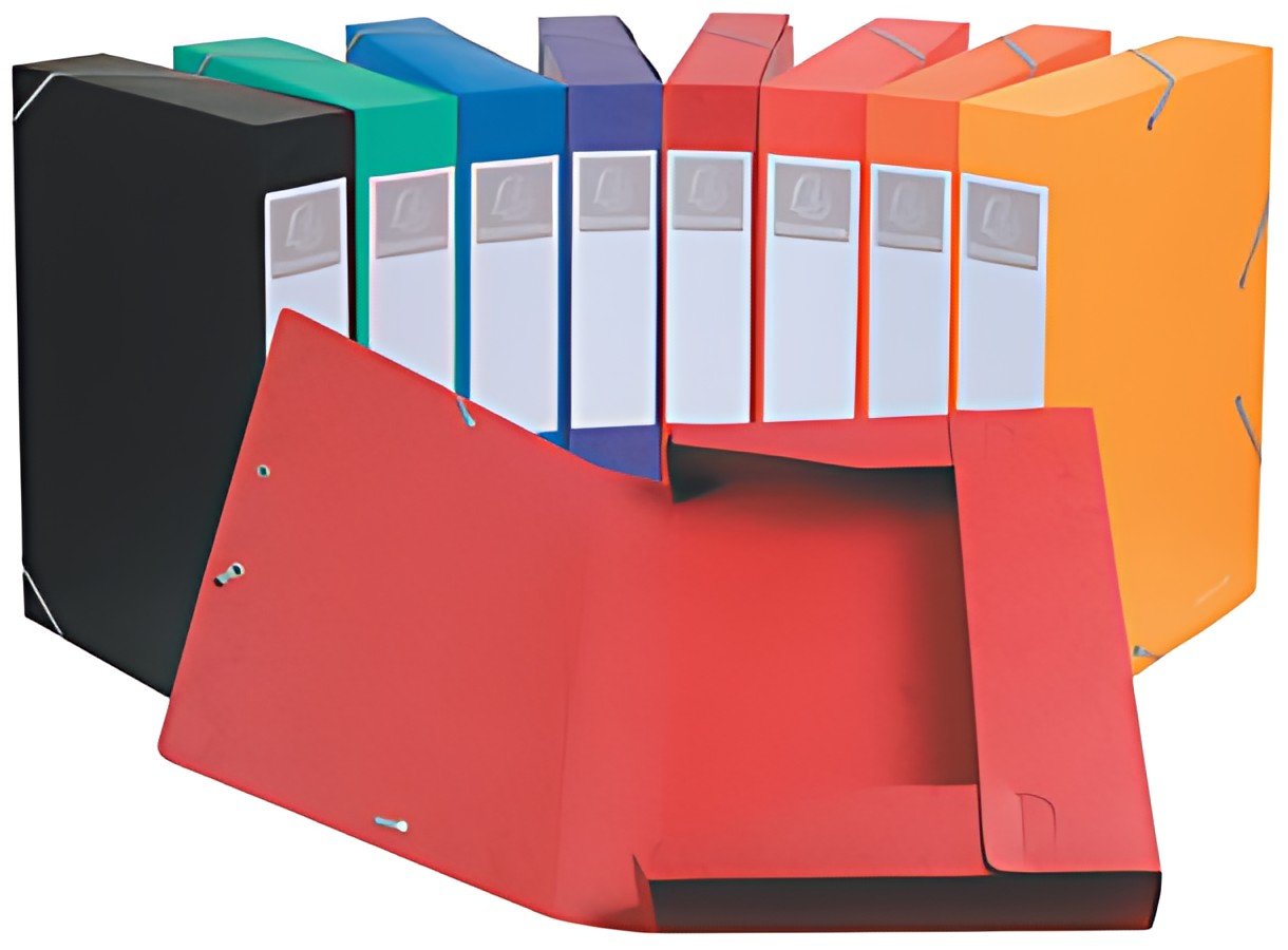 EXACOMPTA Boîte de classement Cartobox, A4, 40 mm, violet