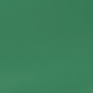 Clairefontaine Papier cadeau "kraft", vert mousse