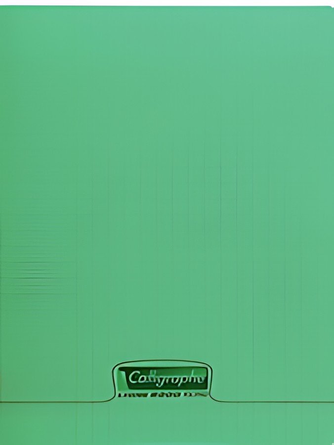 Calligraphe Cahier 8000 POLYPRO, 240 x 320 mm, vert