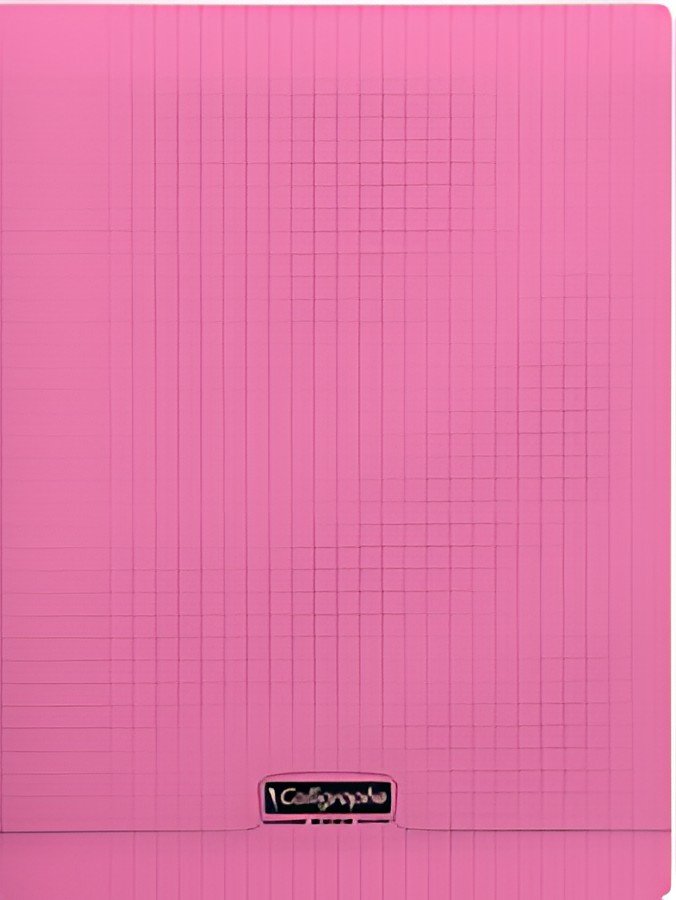 Calligraphe Cahier 8000 POLYPRO, 240 x 320 mm, rose