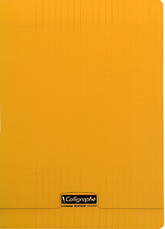 Calligraphe Cahier 8000 POLYPRO, 210 x 297 mm, orange