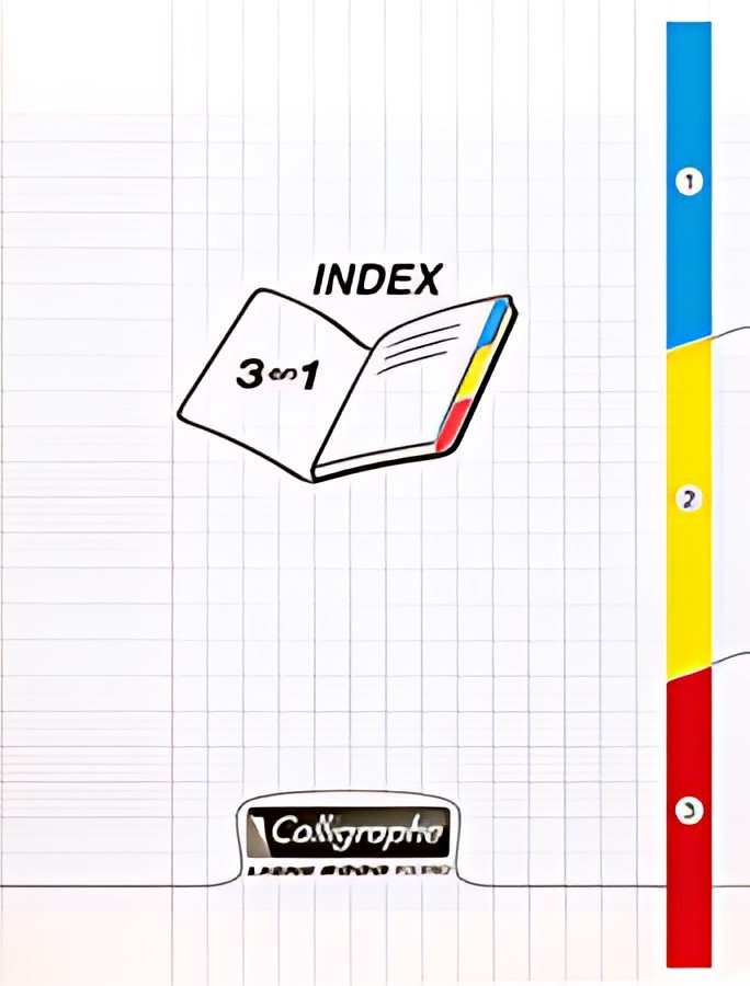 Calligraphe Cahier 3 index 8000 POLYPRO, 170 x 220 mm